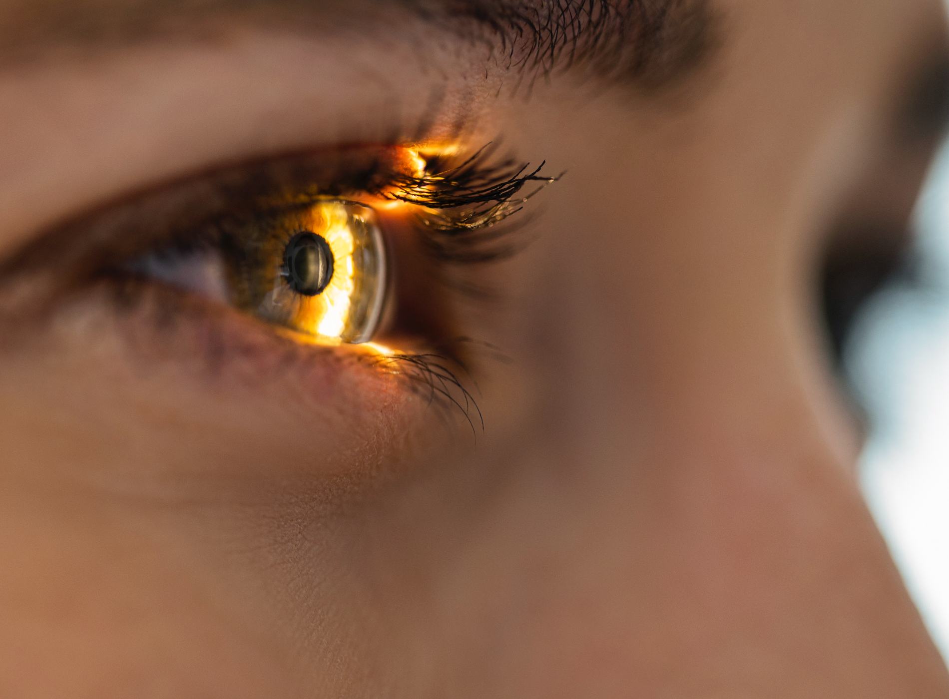Light beam is shining through retina and lens on eyesight exam