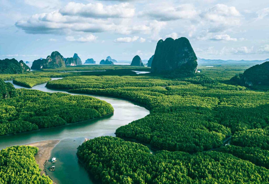Aerial view of river in the green mangroves forestand and limestone hill in Phang nga bay, Thailand.