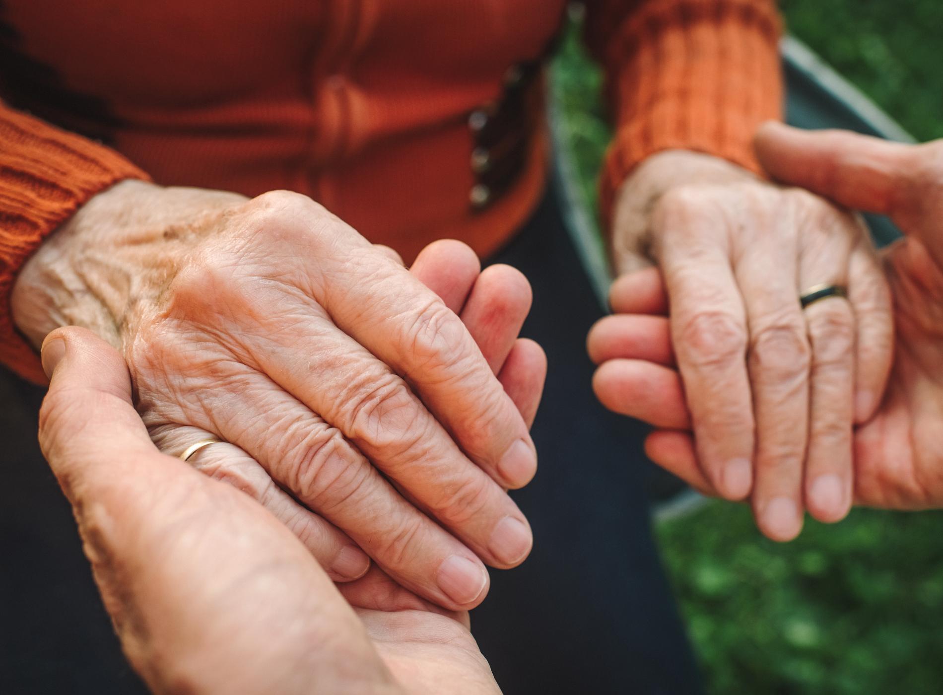 Close-up of a support hands