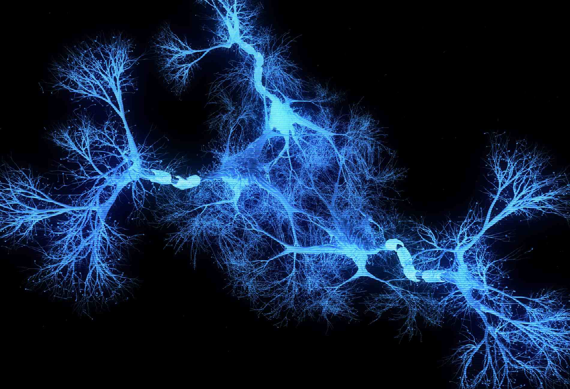 Neuron system hologram - 3d rendered image of Neuron cell network on black background. Hologram view  interconnected neurons cells with electrical pulses. Conceptual medical image.  Glowing synapse.  Healthcare concept.