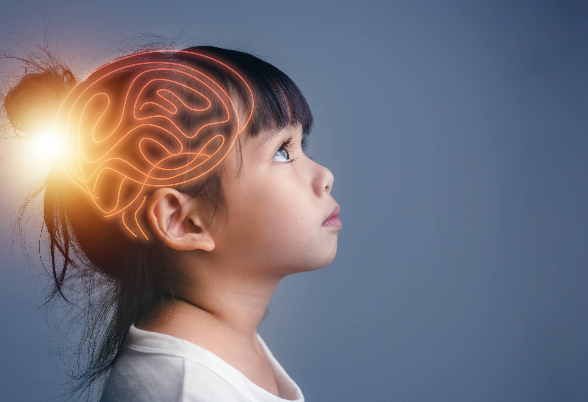 Brain Nervous System concept. Science is something that children should study and learn. Thinking process and Psychology of Kids.